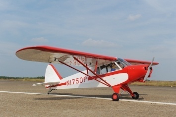 Phoenix Piper Super Cub PA-18 - 273 cm